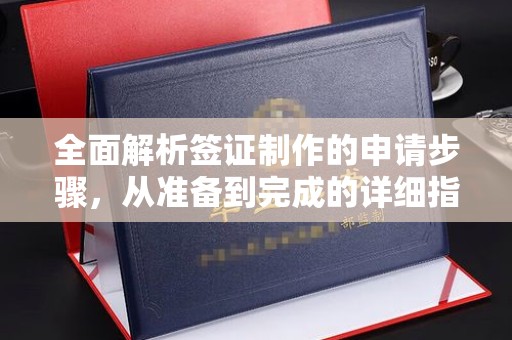 彭阳全面解析签证制作的申请步骤，从准备到完成的详细指南